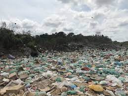 Ministério do Desenvolvimento Regional participa de lançamento da campanha 'Brasil, te quero livre do lixão'