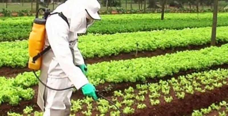 BRASIL REGISTRA REDUÇÃO NA VENDA DE DEFENSIVOS AGRÍCOLAS