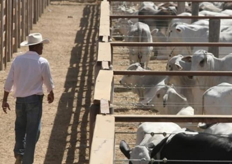 PIB DO AGRONEGÓCIO BAIANO REGISTRA RETRAÇÃO NO SEGUNDO TRIMESTRE DE 2023