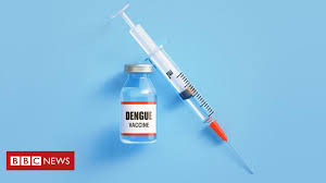 Casos de dengue e chikungunya custaram R$ 1,2 bilhão ao sistema de saúde